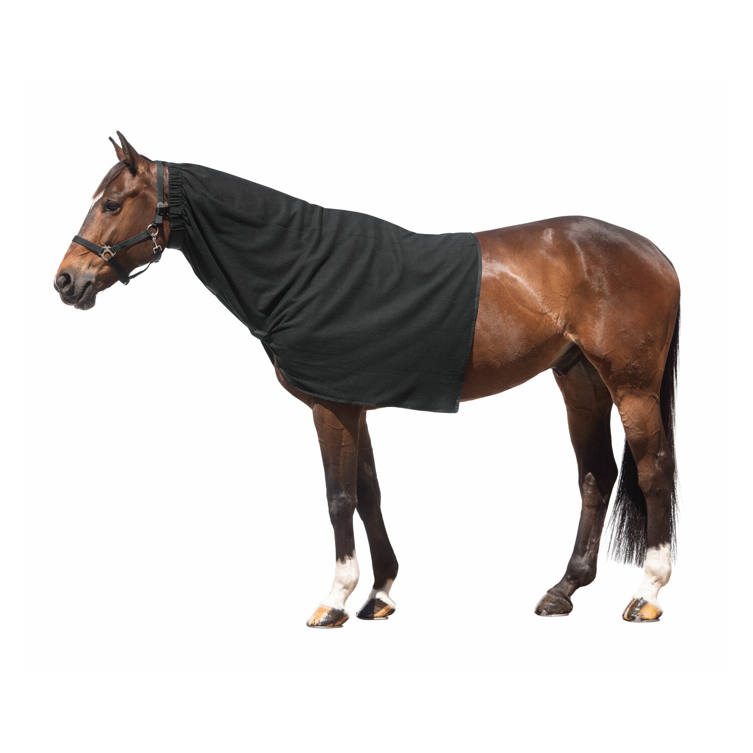 Horse-friends Halsteil  - black