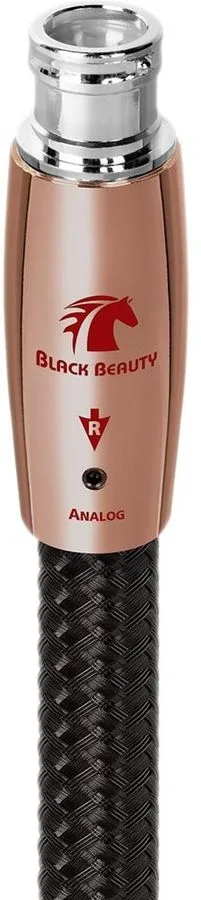 Audioquest Black Beauty XLR (2 x 1 m) Câbles symétriques XLR