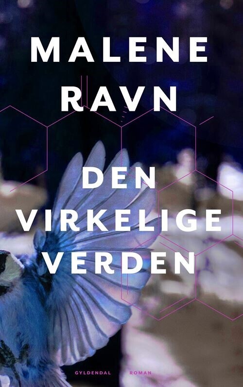 Den Virkelige Verden - Malene Ravn - Bog