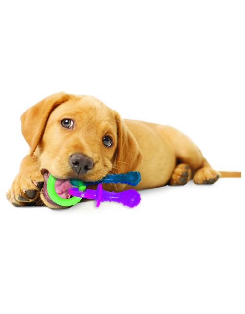 Nylabone Puppy Teething Pacifier Flexible - Hondenspeelgoed - Bacon 215x100x38 mm 108 g Roze Blauw Groen Tot 7kg Xs