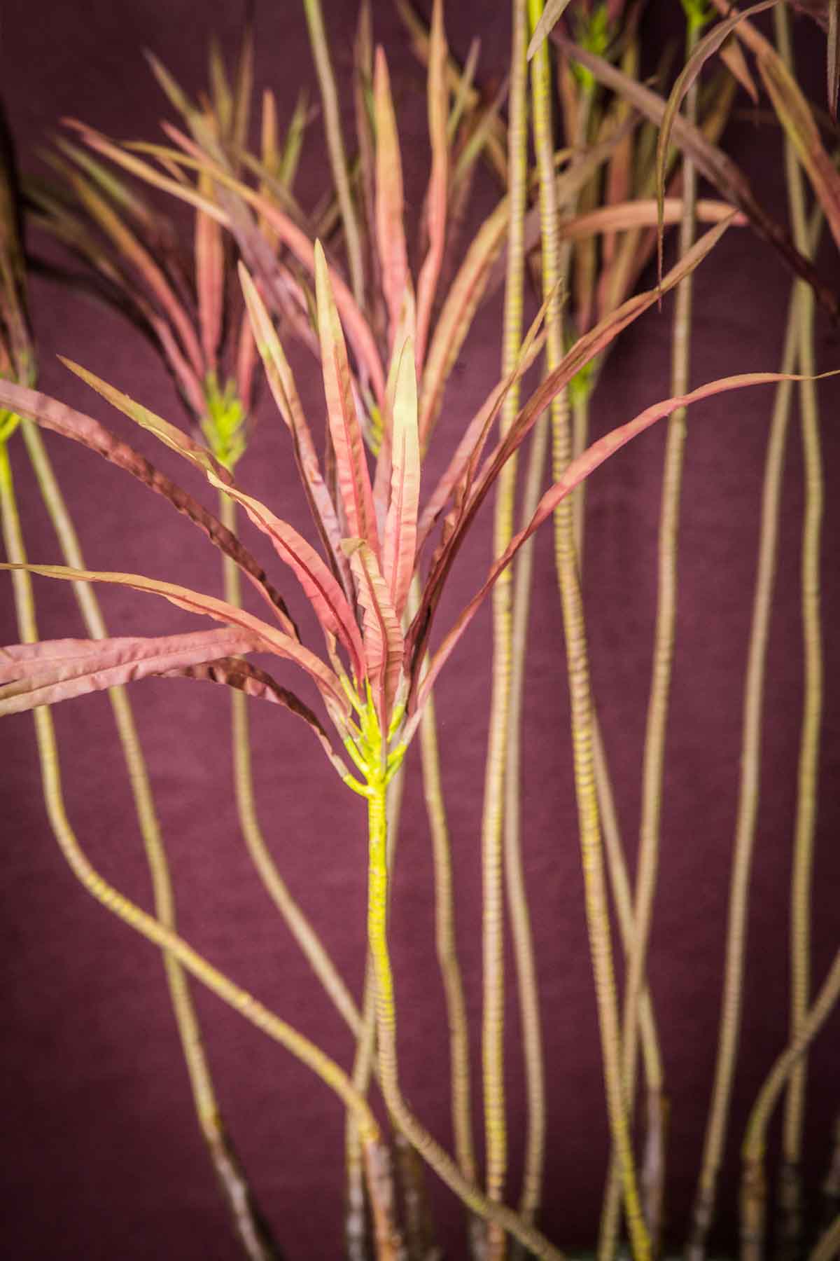 Ptmd plante artificielle leaves - 98x36x117 cm - plastique - bordeaux