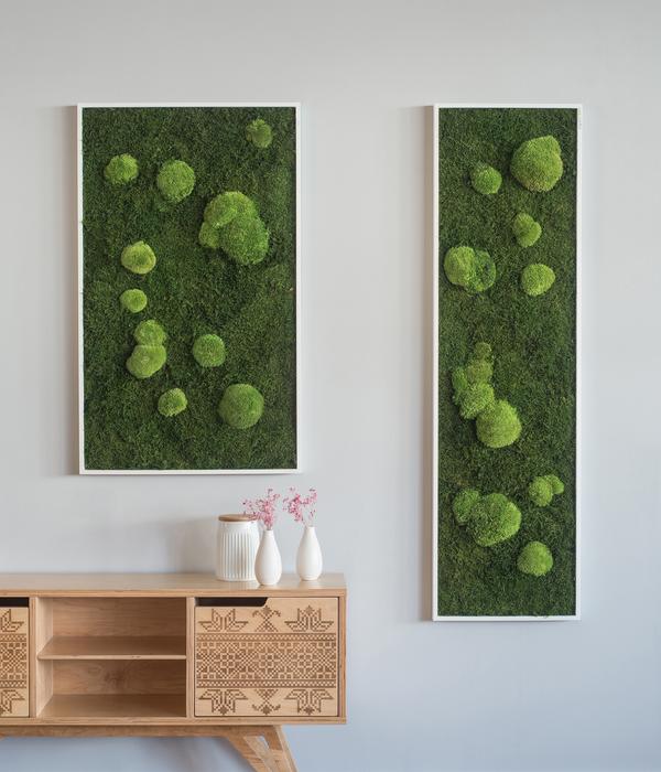 styleGREEN Bild aus Wald- und Kugelmoos,
