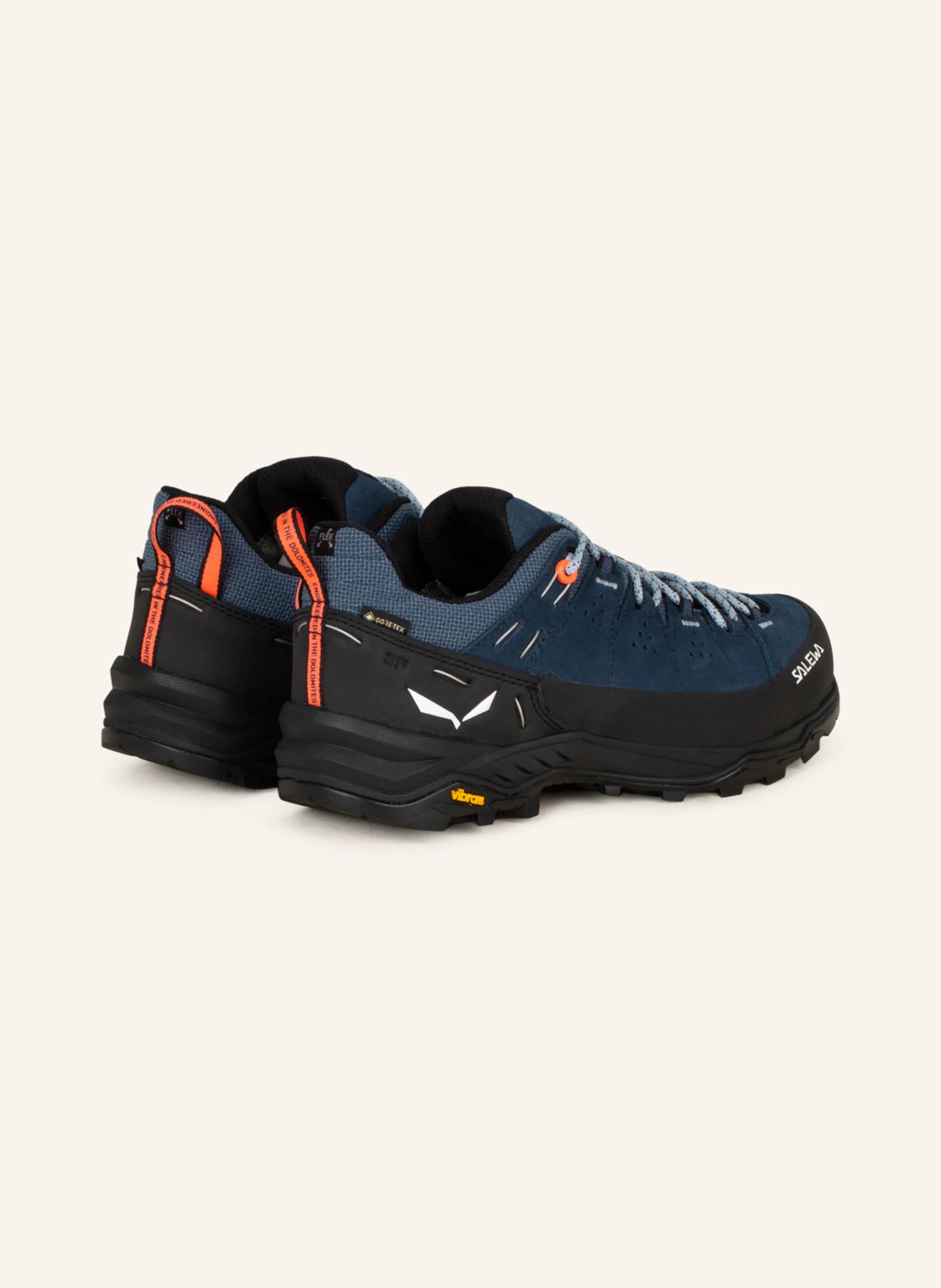 SALEWA Wanderschuhe ALP TRAINER 2 GTX