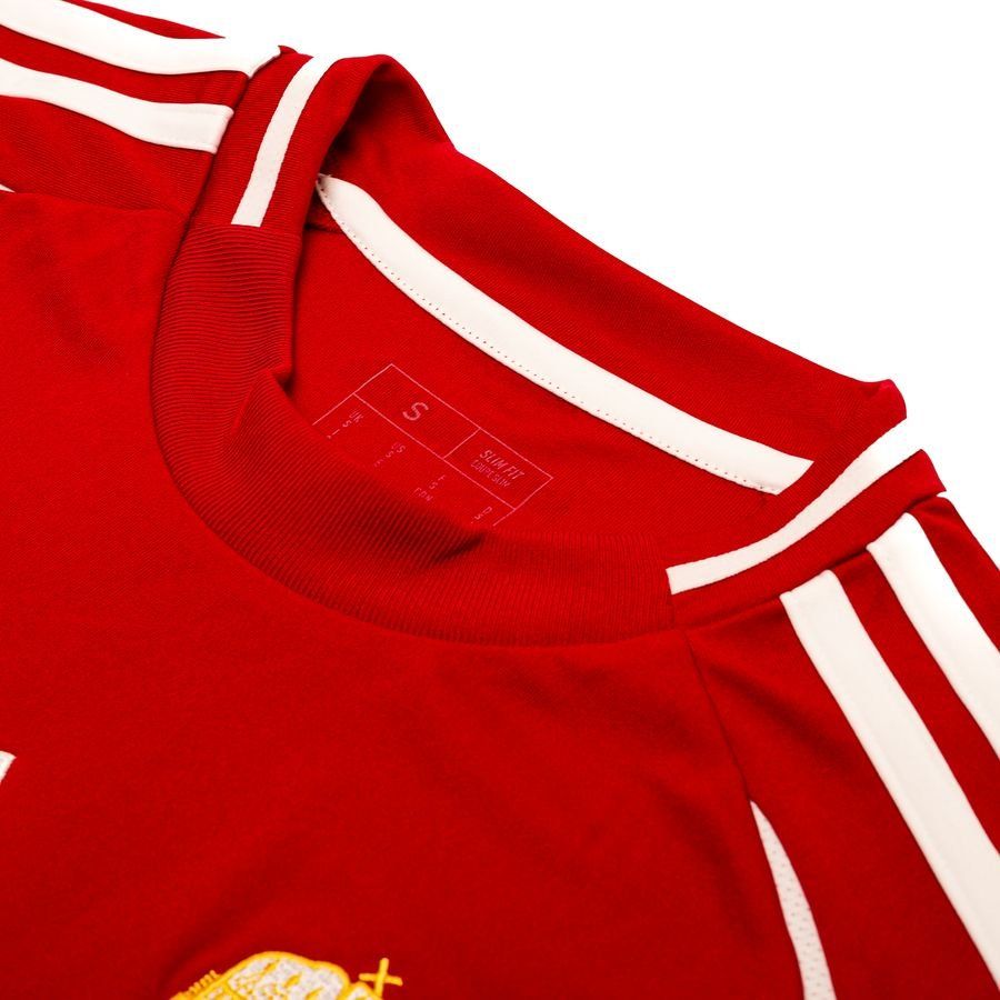 Hongrie Maillot Domicile 2024/25