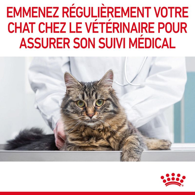 Royal Canin Appetite Control Care en sauce