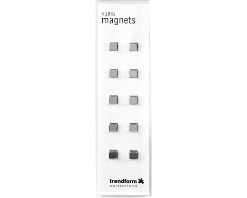 Kubiq decoratieve magneten, set van 10, zilver
