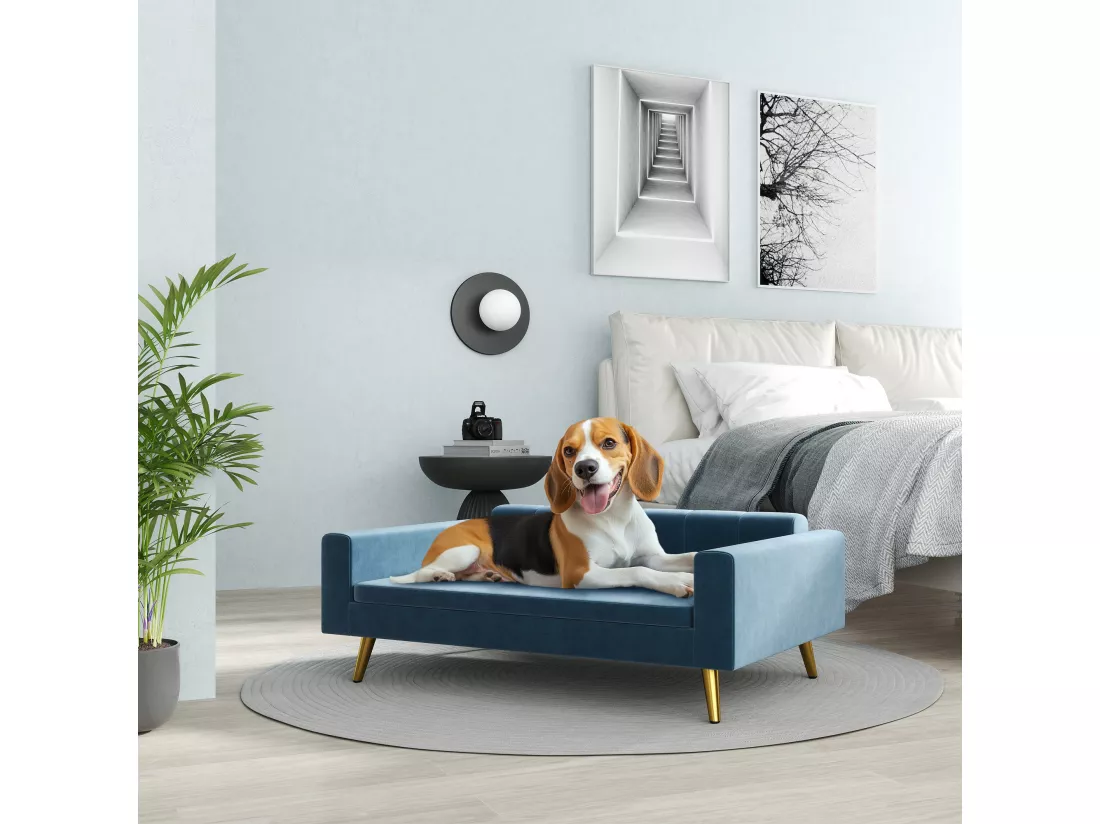 Canapé chien style art déco - dim. 94L x 59l x 31H cm - coussin amovible déhoussable - acier doré velours bleu