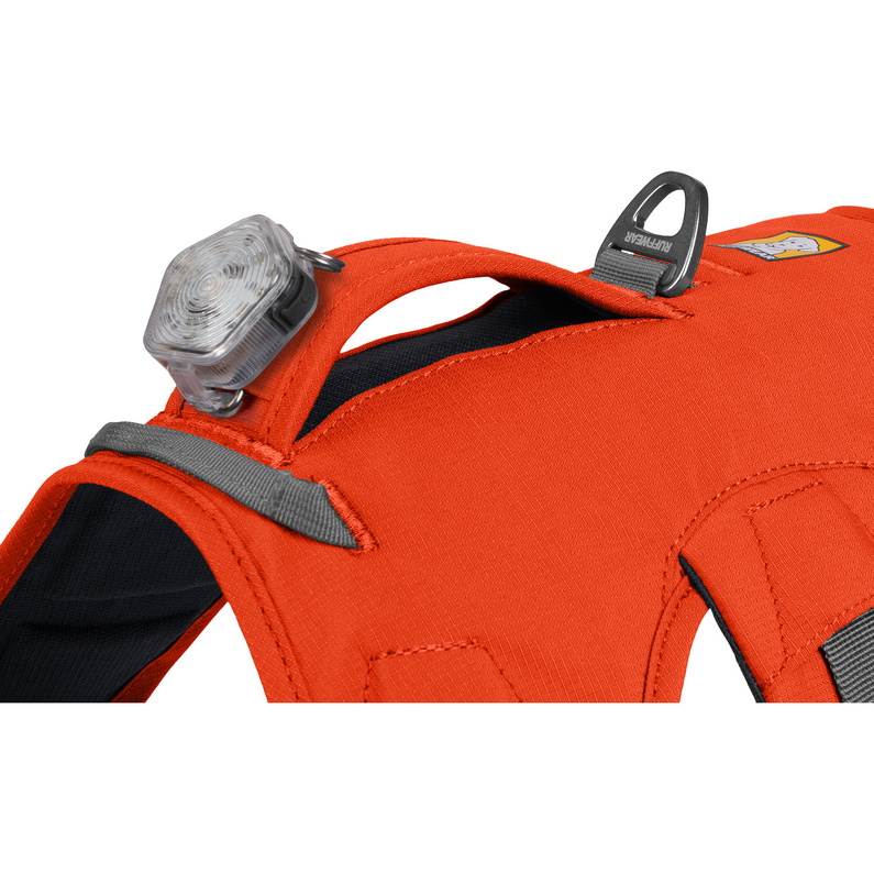 Ruffwear Web Master Hundegeschirr