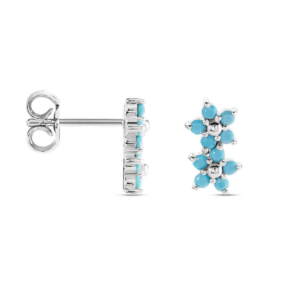 Boucles D'oreilles Puces Bleubirds Argent Blanc Turquoise