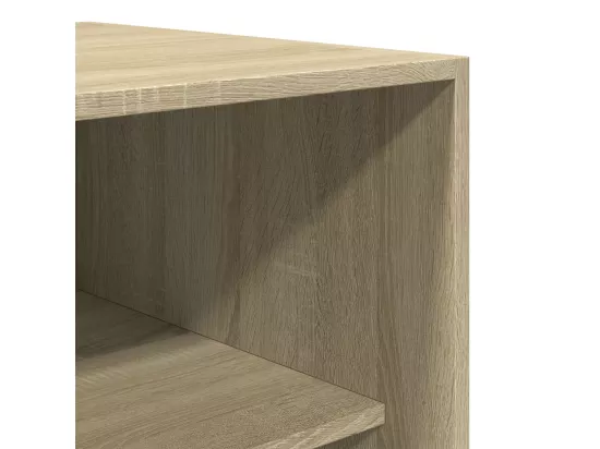 Garde-robe Chêne sonoma 100x50x200 cm Aggloméré