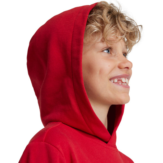 adidas Bayern München DNA Hoody Kids