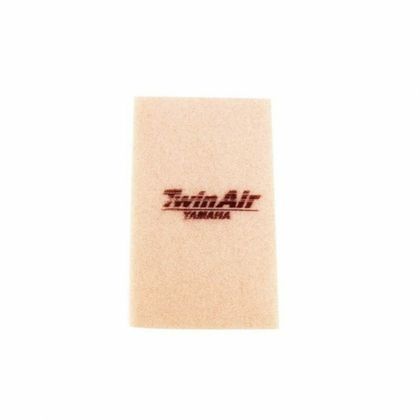 Filtre à air Twin air 152421