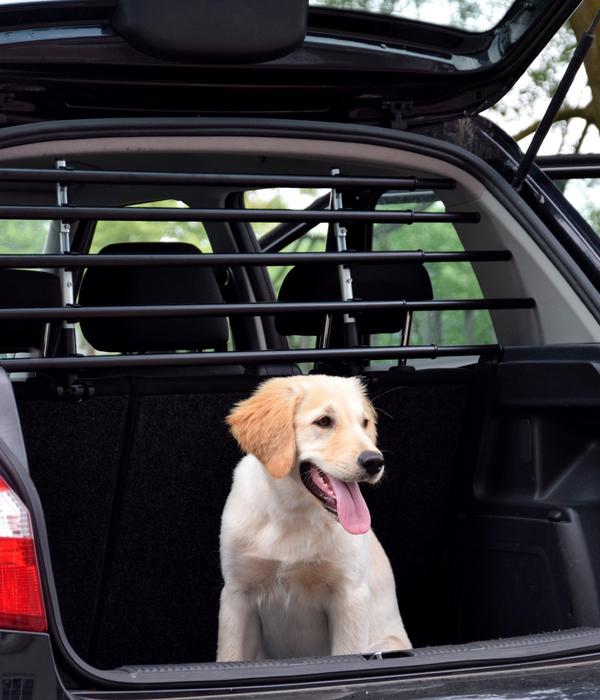 dobar® petlife Autotrenngitter Walky Barrier