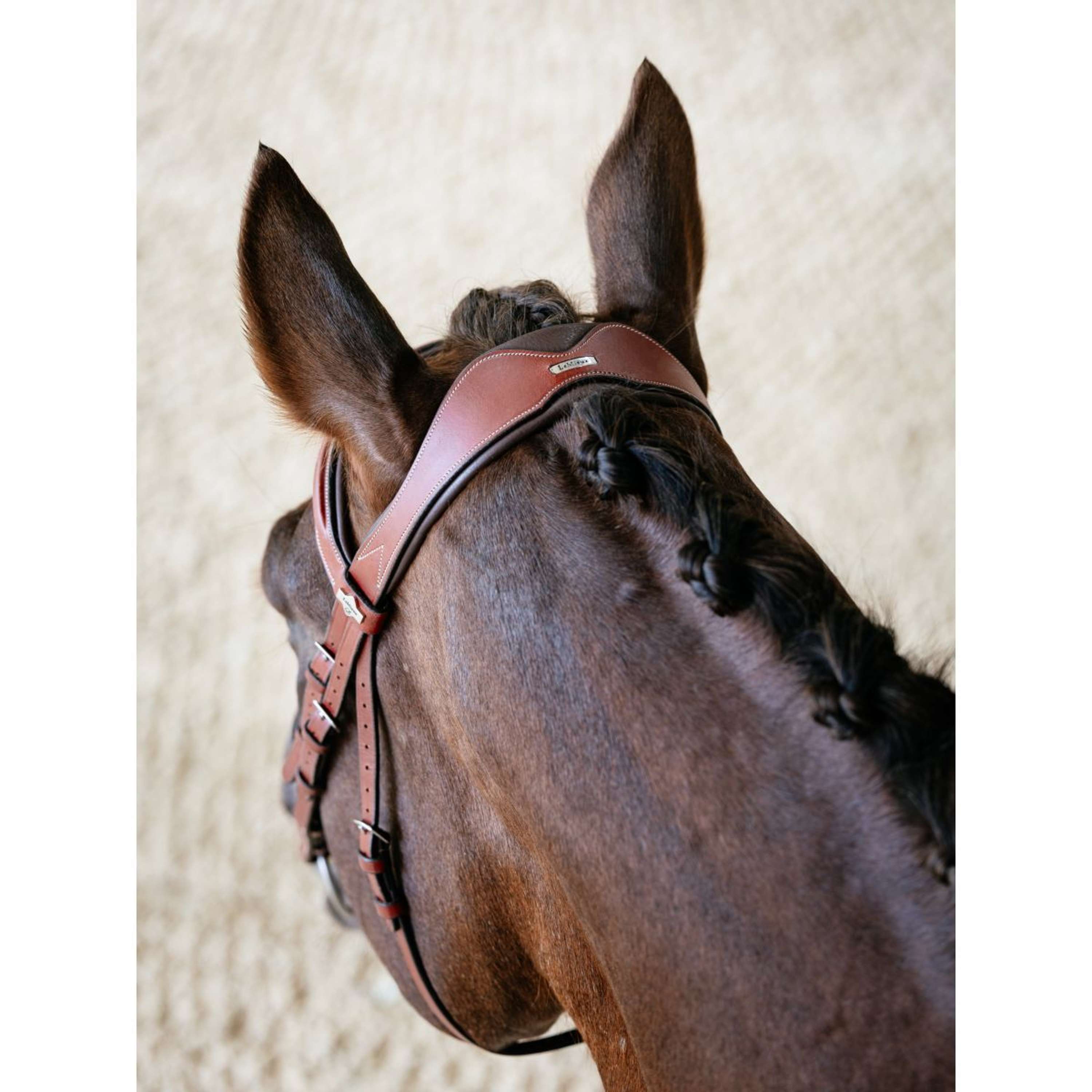 LeMieux Hoofdstel Kudos Grackle Chestnut