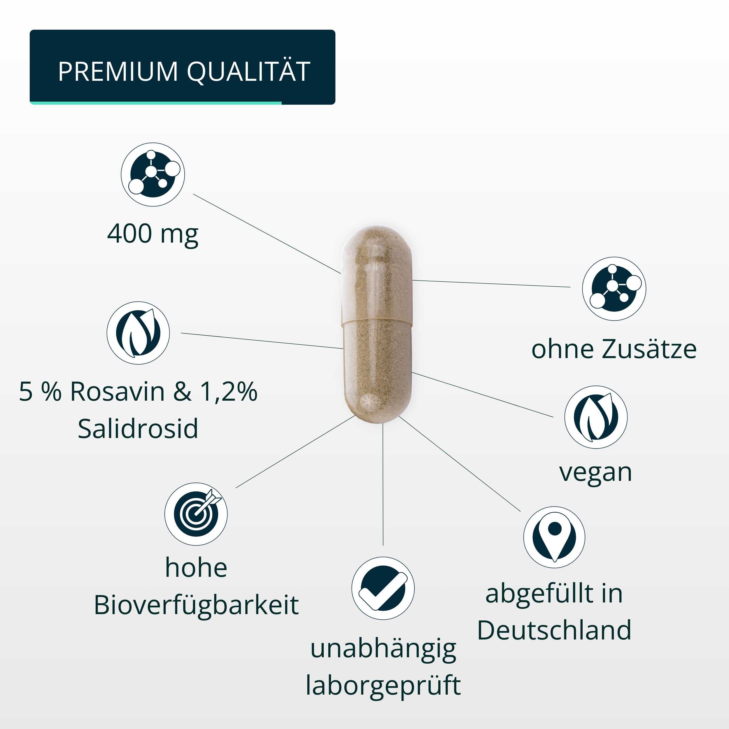 brandl® Rhodiola Rosea Extrakt (Rosenwurz)