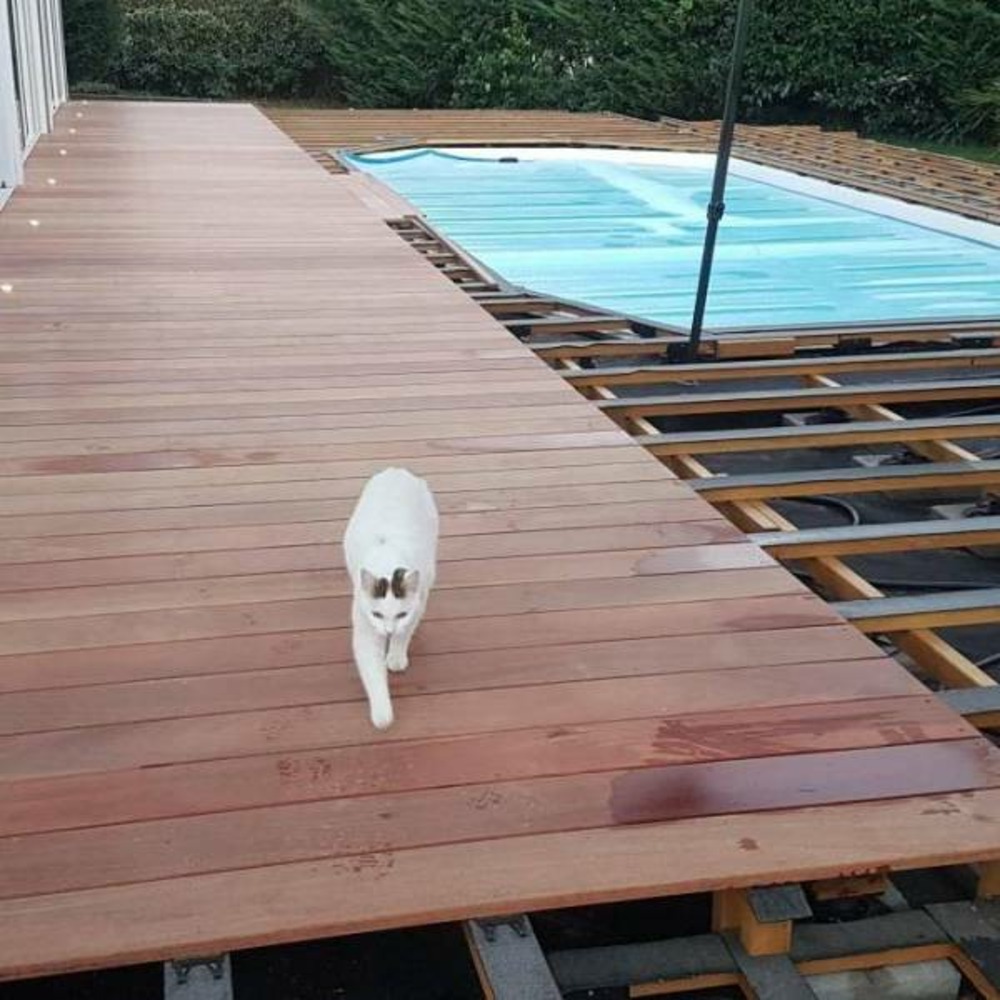 Pack complet 50m² lame de terrasse cumaru lx1550mm avec lambourde, vis, cale de ventilation, plot pvc et bande bitumineuse