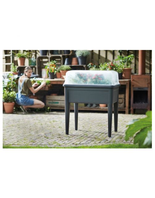 Elho Green Basics Kweekhuis Deksel - Kweekbenodigdheden - 74.8x35.5x20.3 cm Transparant Xxl
