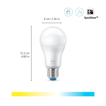 WiZ Connected LED peer E27 60W mat koel tot warmwit licht dimbaar