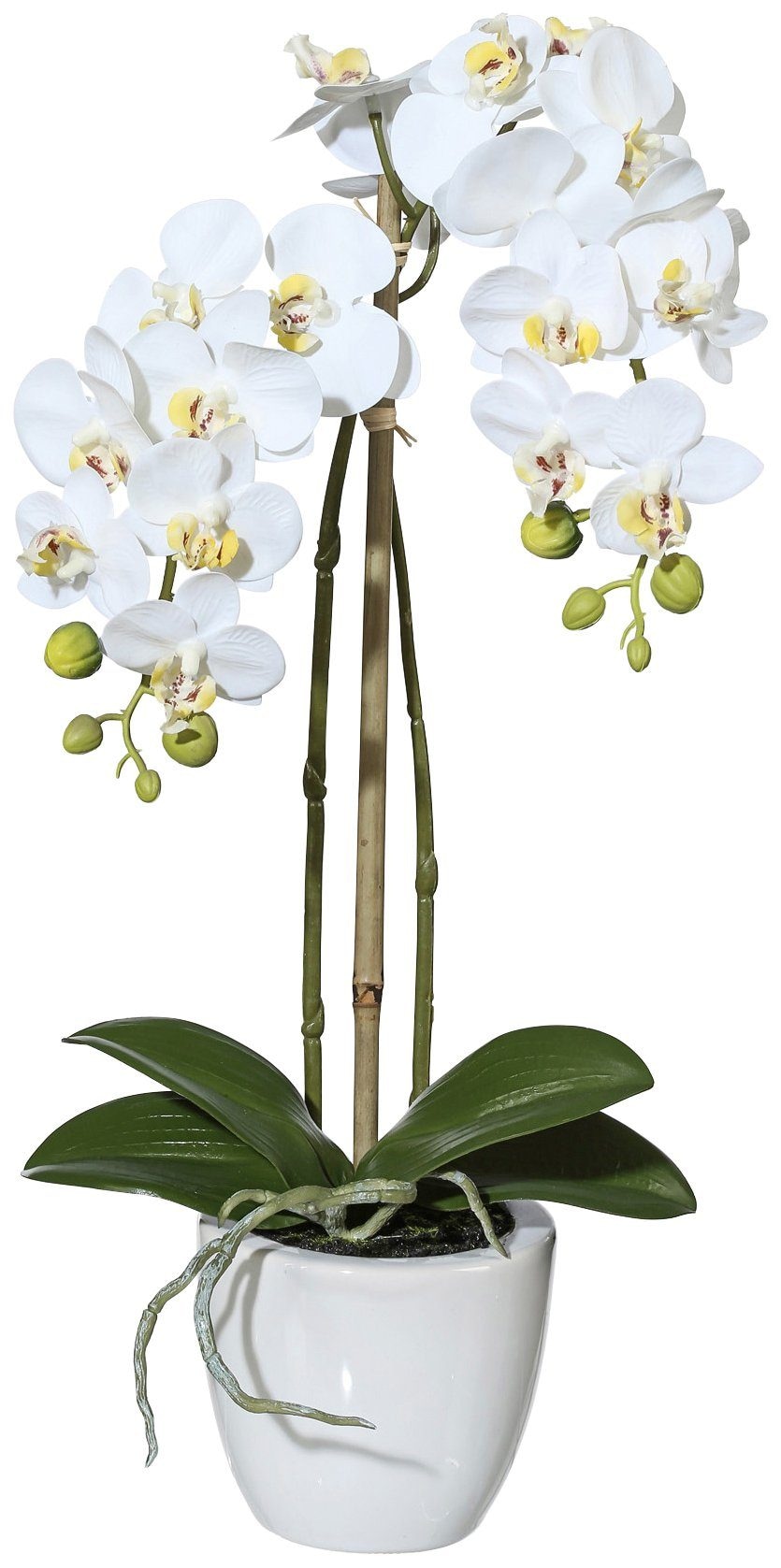 Creativ green Kunstpflanze »Orchidee Phalaenopsis« im Keramiktopf