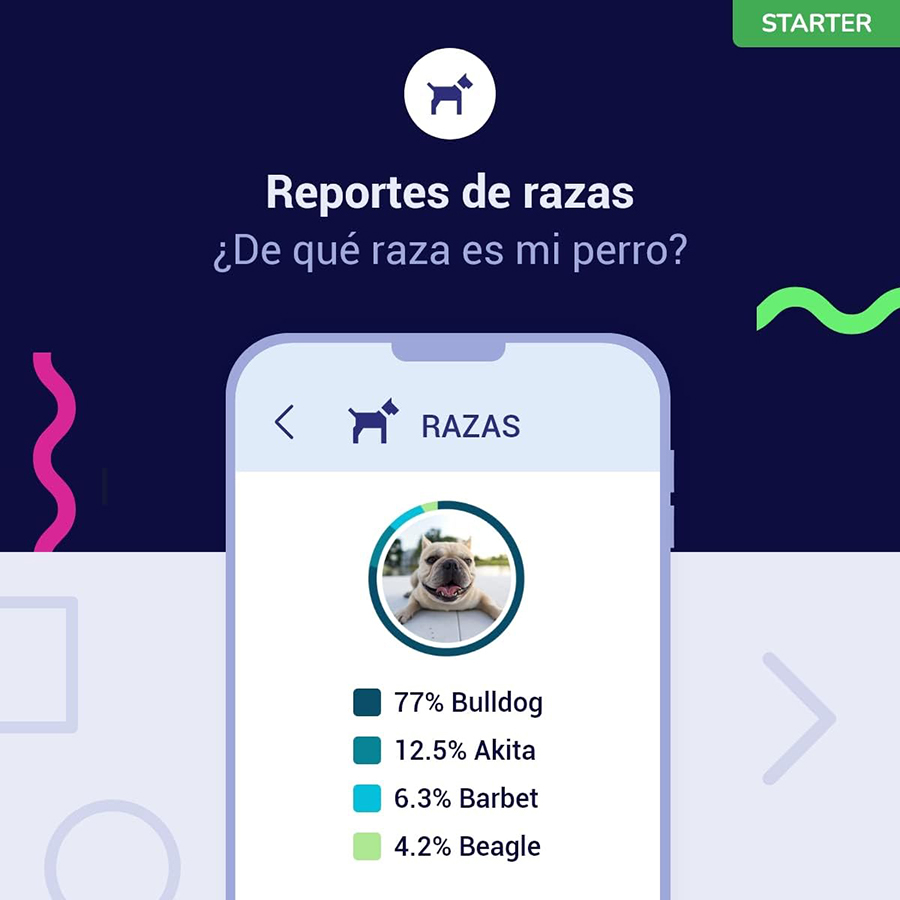 Teste de DNA para cães - Nível Inicial