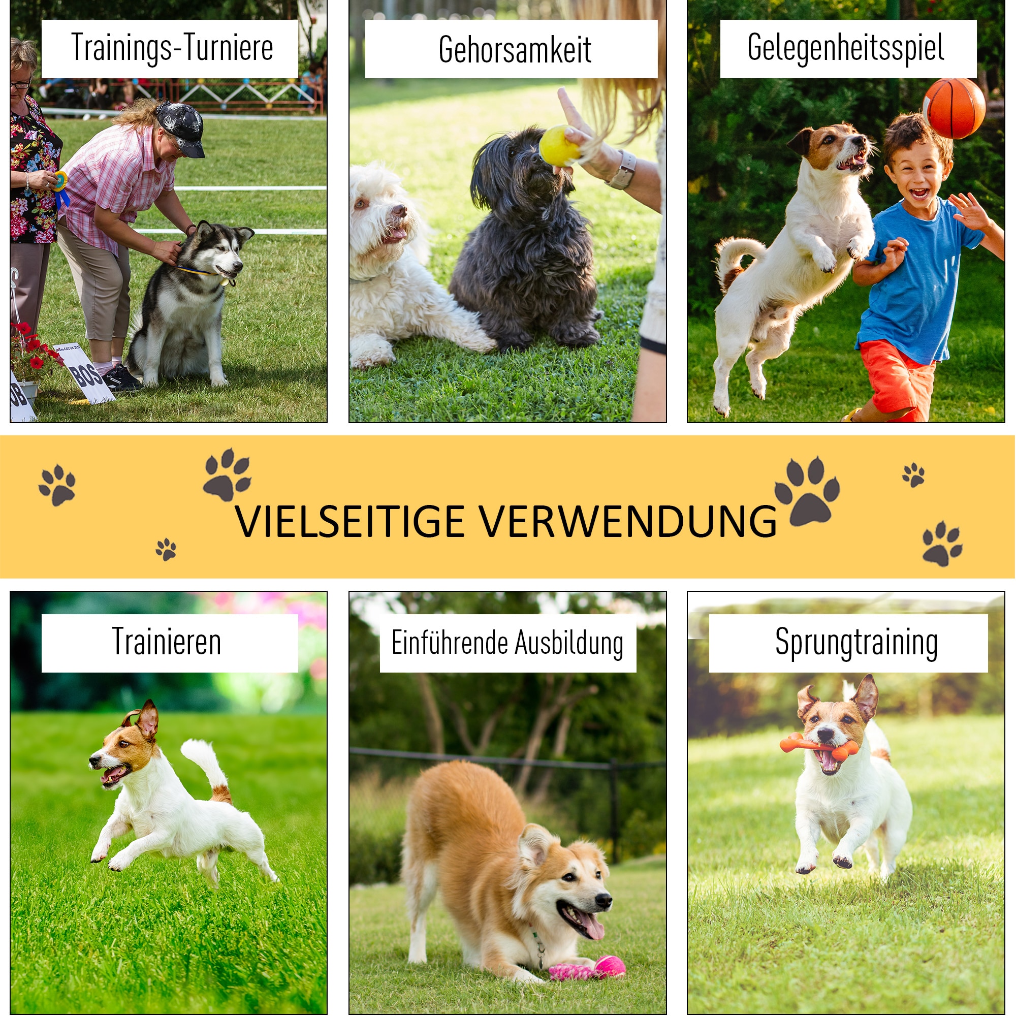 PawHut Agility Set für 4 verschiedene Trainingsvarianten gelb