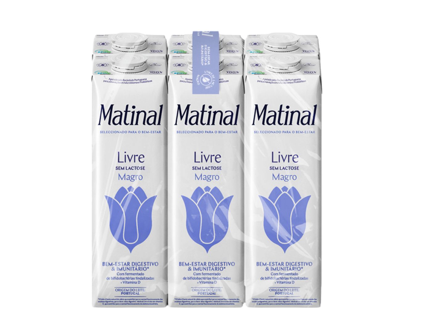 LEITE S/ LACTOSE MATINAL MAGRO LIVRE 6X1L