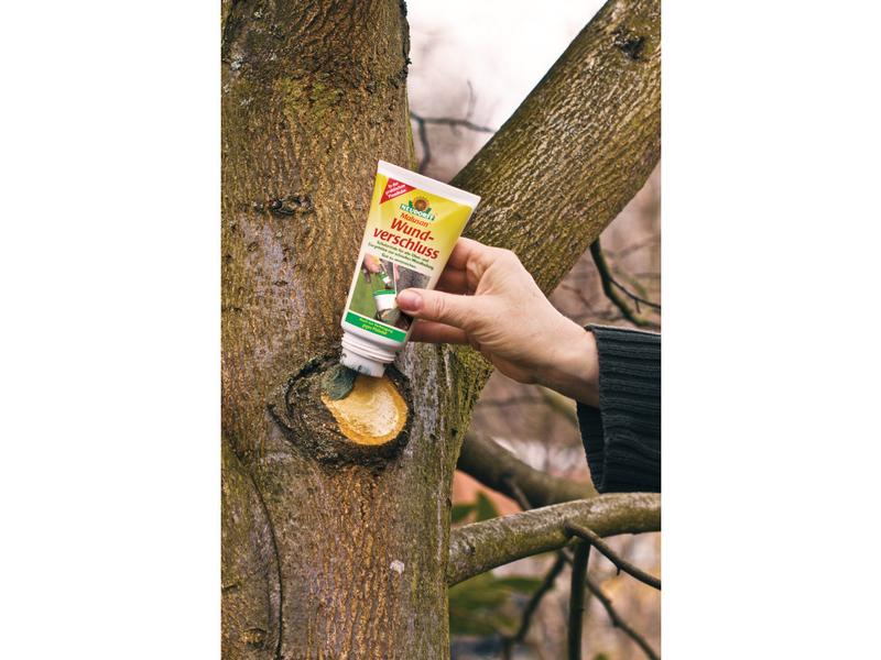 Neudorff Malusan Wundverschluss, 250 ml Wundverschlussmittel zur Wundbehandlung für alle Obst- und Ziergehölze