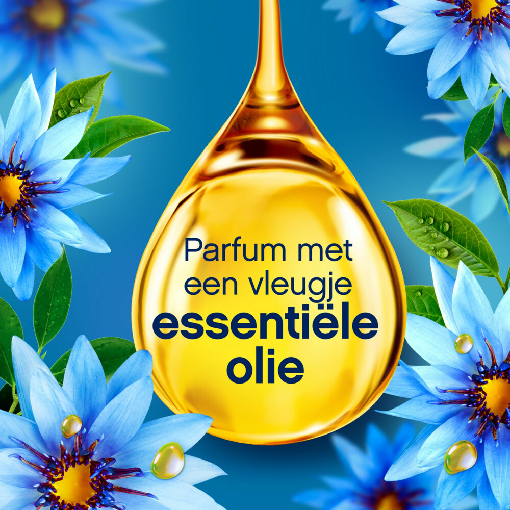 Lenor Wasverzachter Zeebries 56 Wasbeurten1176 ml