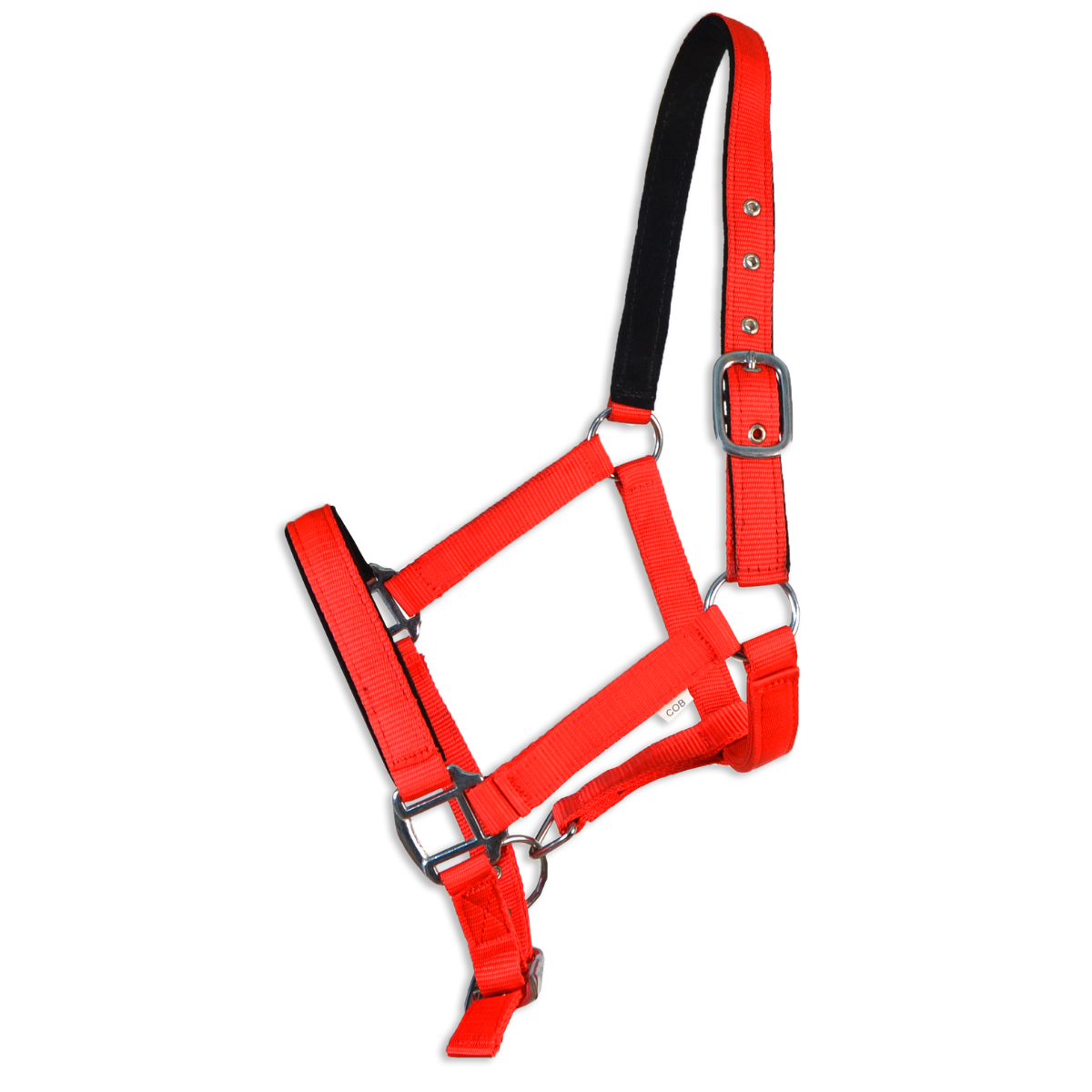 Cabresto duplo reforçado em nylon com ferragens em PVC e cromadas, disponível em várias cores e tamanhos.