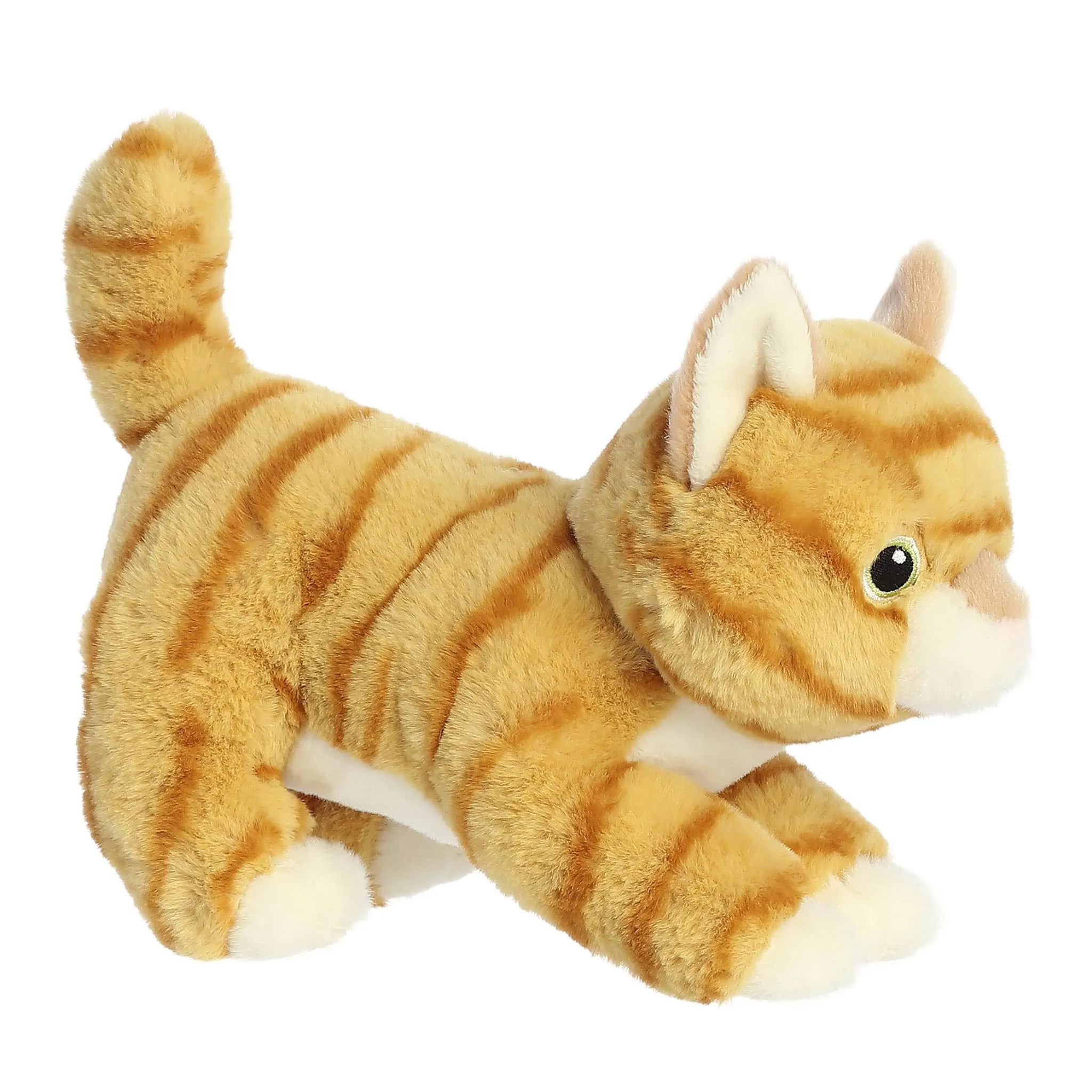 Aurora Chat Tabby 8.5