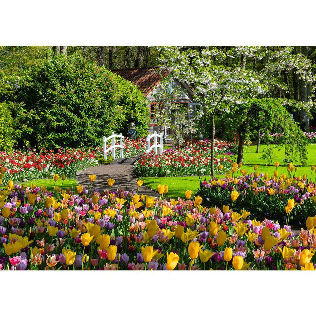 Ravensburger Spiel Keukenhof Gardens, Netherlands