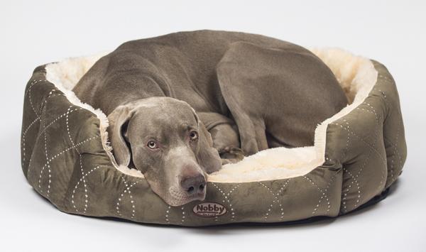 Nobby Komfortbett Ceno, oval
