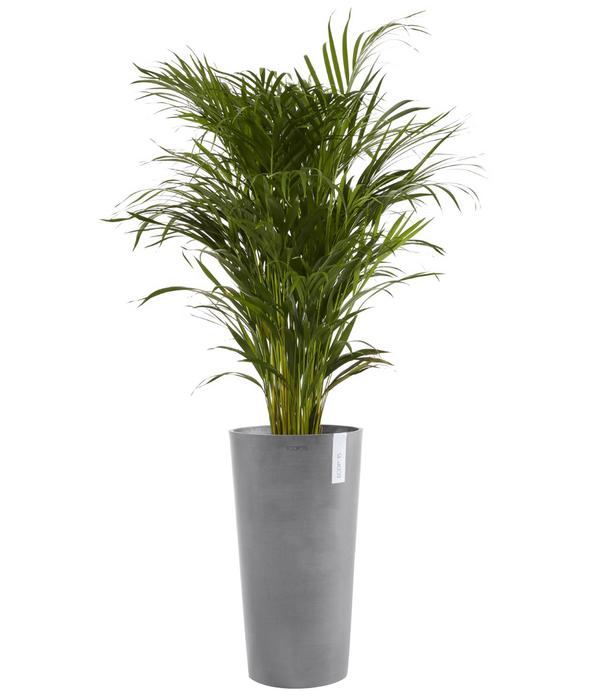 Ecopots Kunststoff-Topf Amsterdam hoch, rund