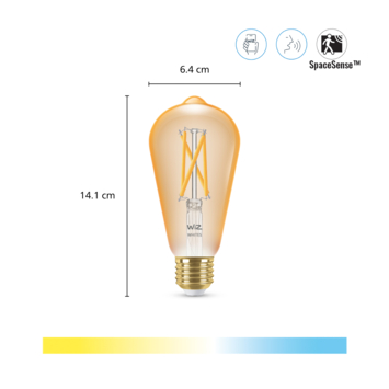 WiZ Connected LED edison E27 50W 2 stuks filament gold koel tot warmwit licht dimbaar