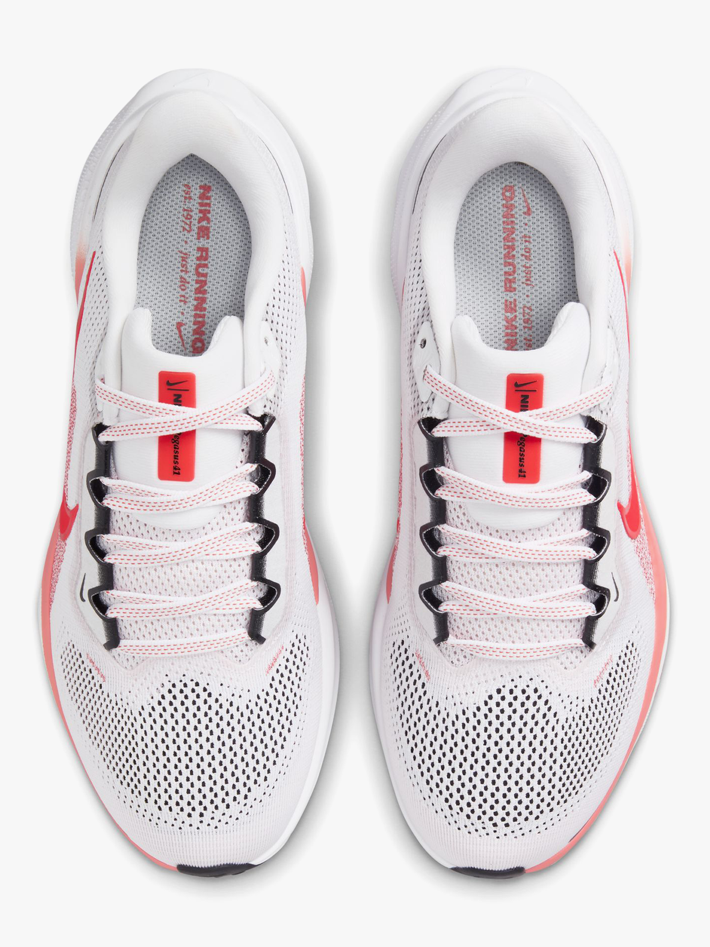 Pegasus 41
