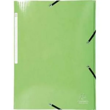 Exacompta Sammelmappe A4 Iderama 425g zitrusgrün