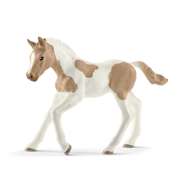 HORSE CLUB - Paint Horse Fohlen