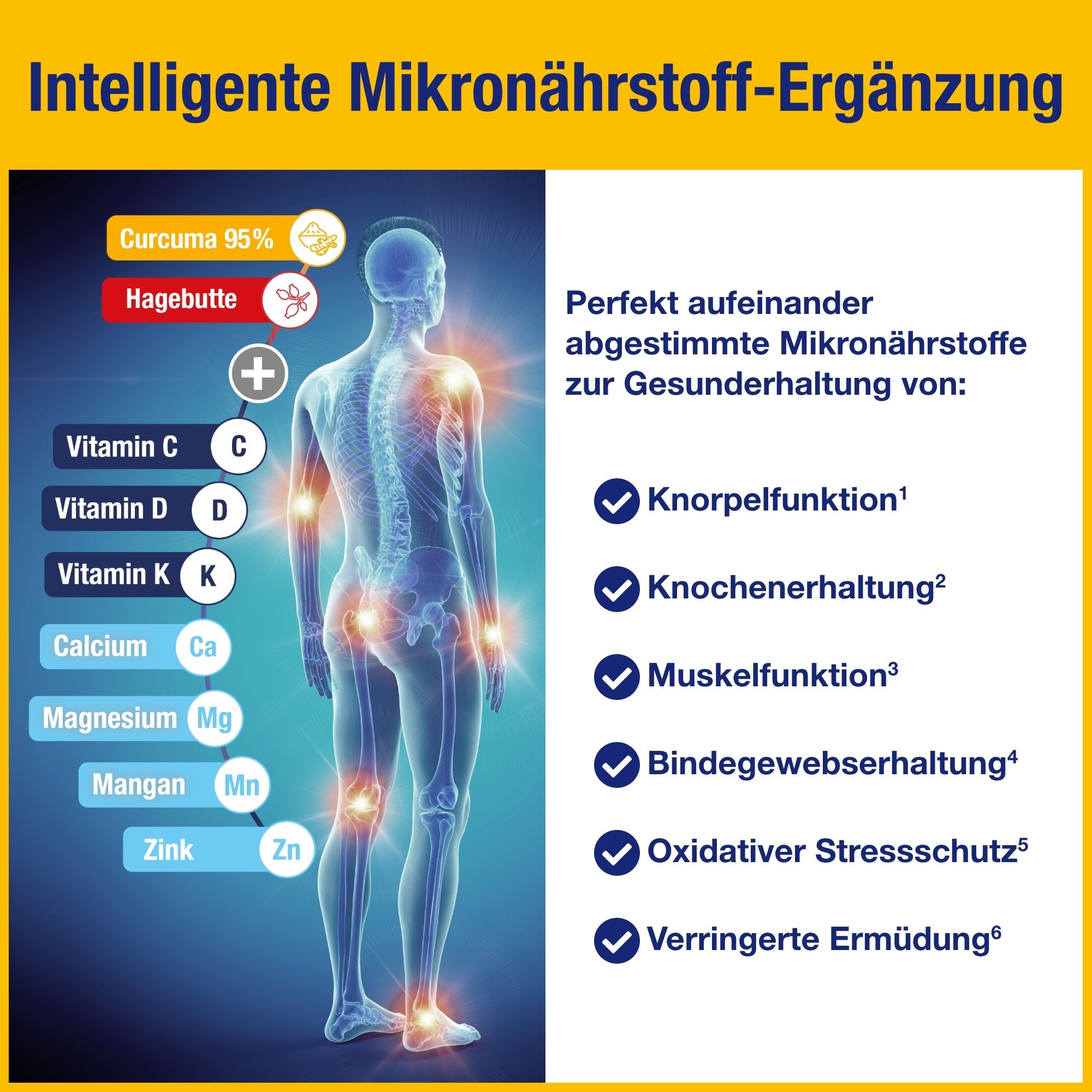 GELENCIUM® Curcuma Plus hochdosiert mit Vitamin C