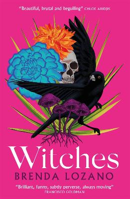 Witches (Paperback)