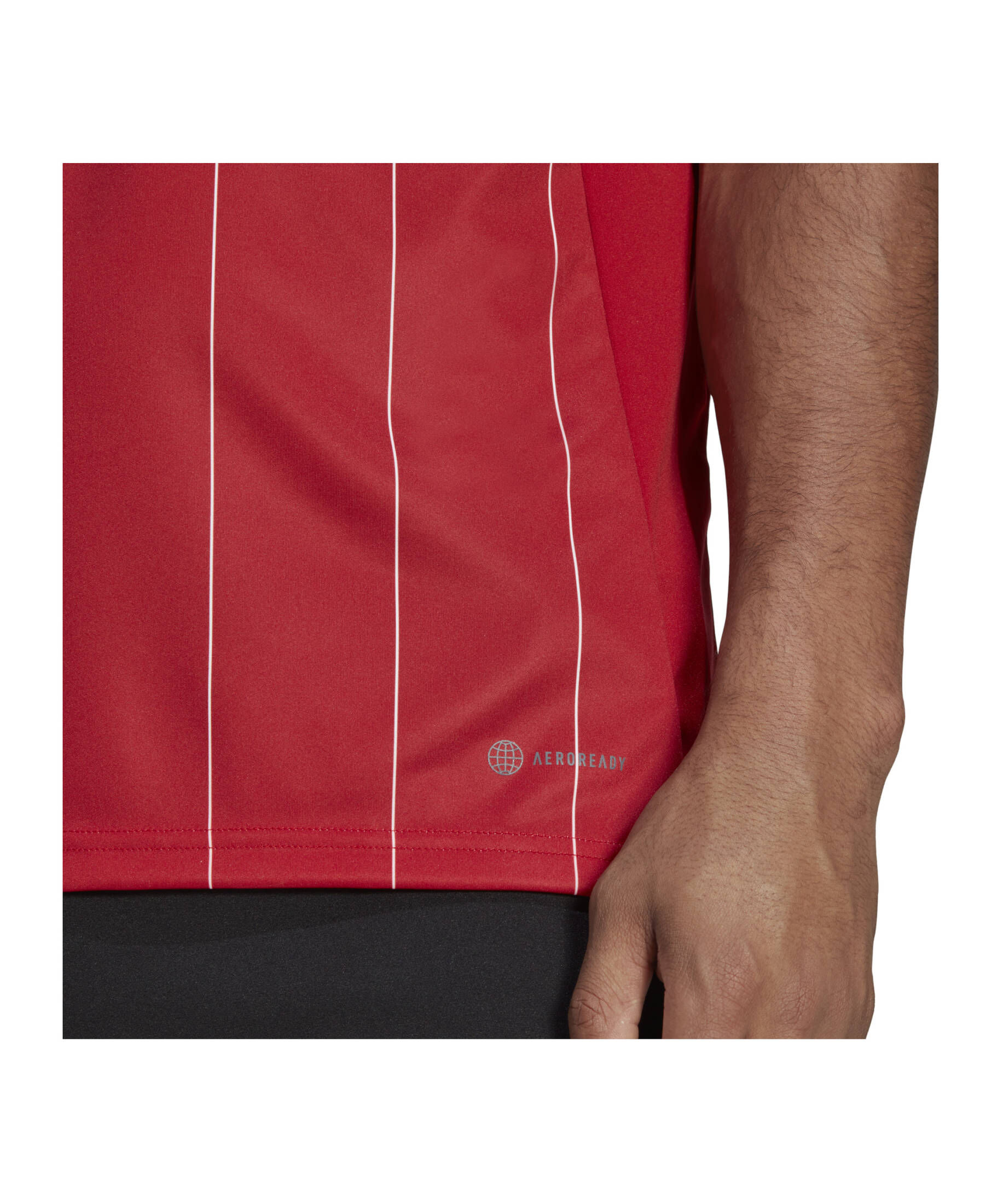 adidas Performance| Replicas - Trikots - National Fortuna Düsseldorf Trikot Home 2022/2023