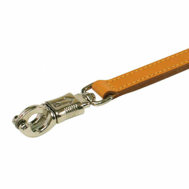Laisse courte 50 cm en cuir pour chien