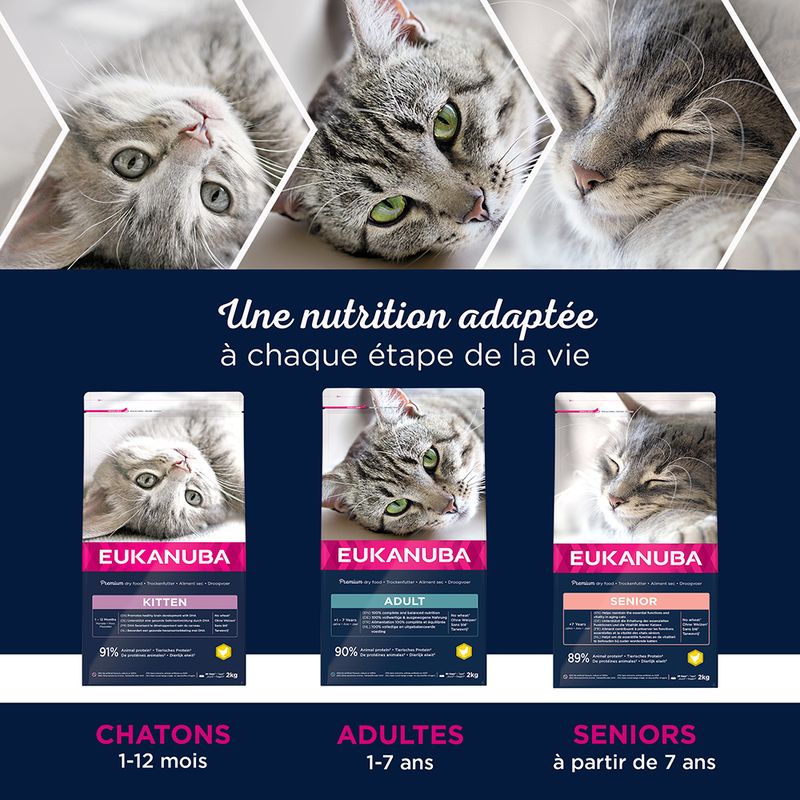 Eukanuba Top Condition 1 + Adult, poulet
