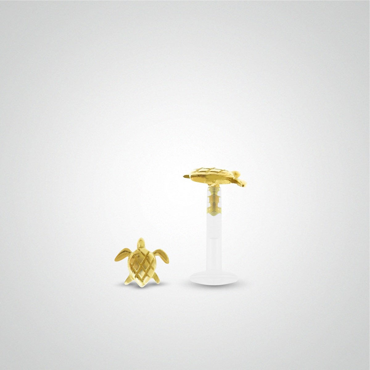Piercing tragus tortue en or jaune