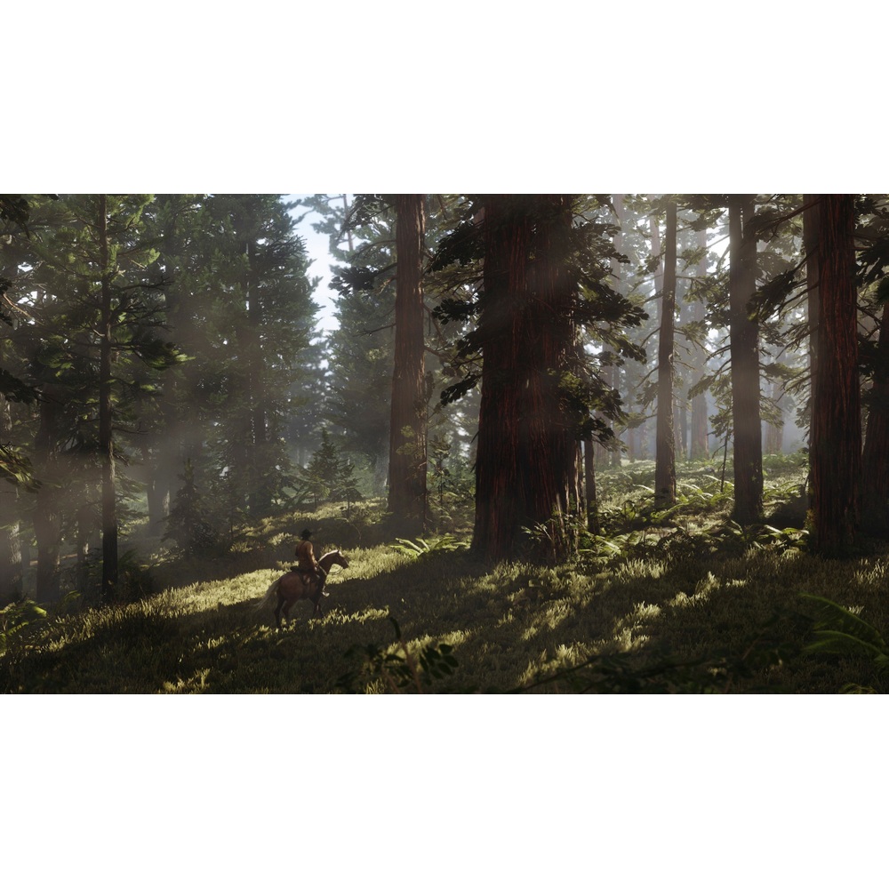 Red Dead Redemption 2 PS4