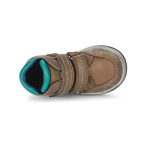 Acebo's - ACERA - Taupe