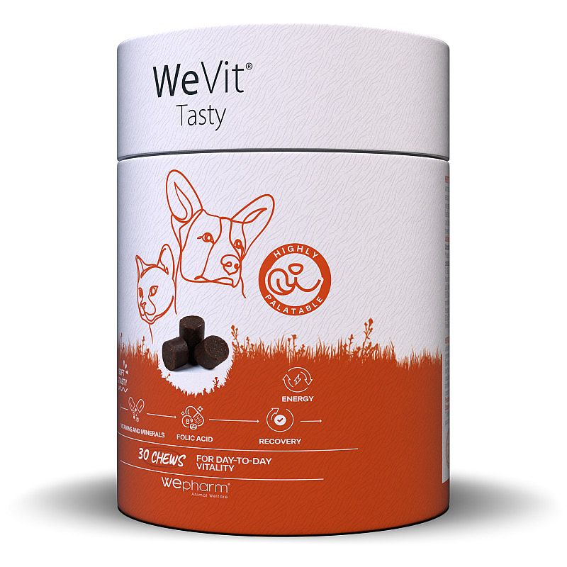 Wepharm WeVit Tasty 30 soft-chews | 15855
