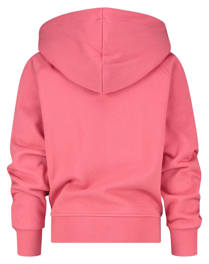 Kapuzen-Sweatshirt G-BASIC in charm peach