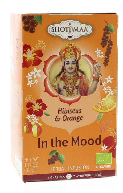 Shoti Maa In The Mood 16st