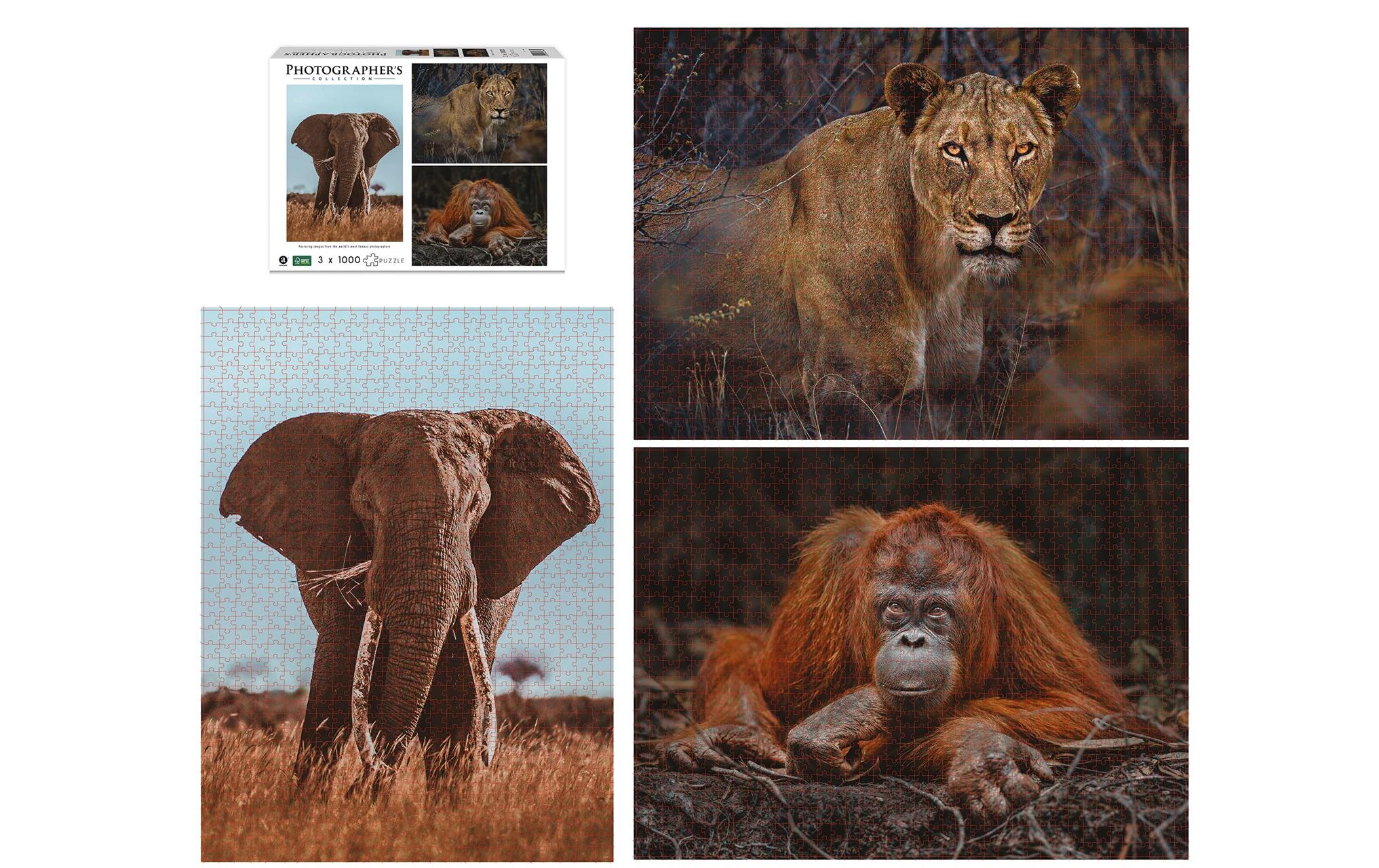 Puzzle Wildtiere BlickkontaktPuzzle-Set für Erwachsene und Kinder