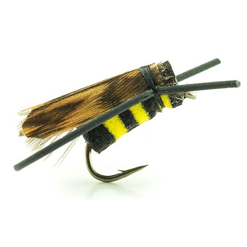 Mouche Devaux Terrestre Guepe Bee 01 Bl